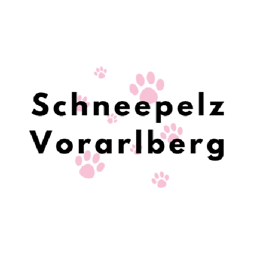Schneepelz Vorarlberg